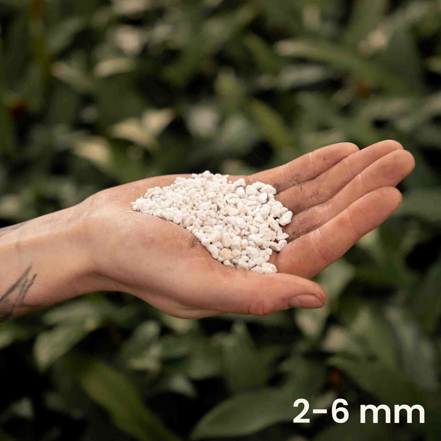 Sybotanica Perlite