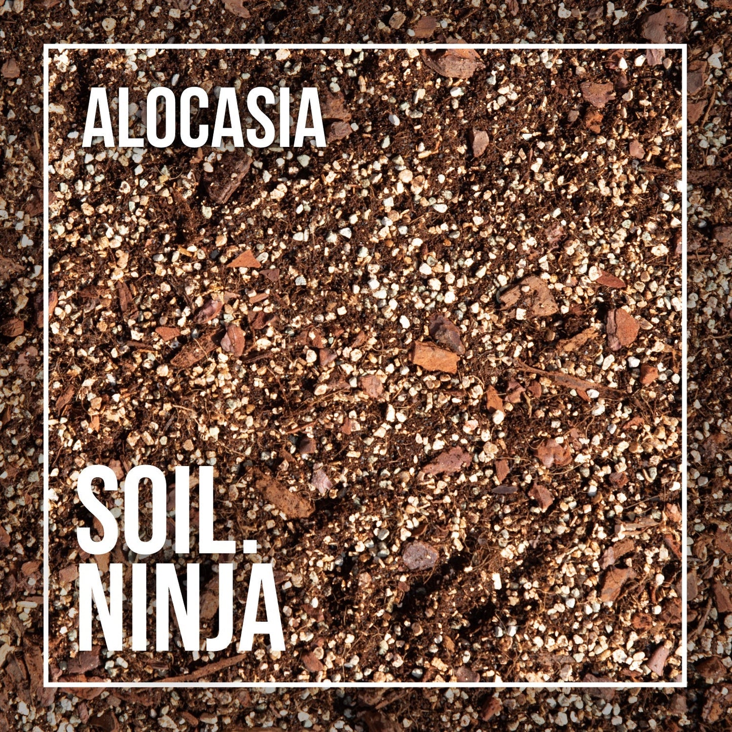 Substrate Soil Ninja 'Alocasia Blend'