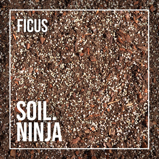 Substrate Soil Ninja 'Ficus Mix'