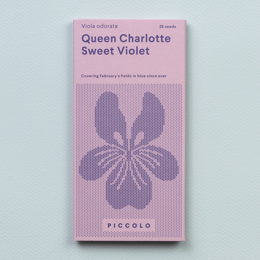 Seeds Sweet Violet Queen Charlotte
