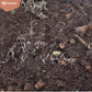 Sybotanica Terrarium Mix