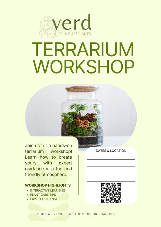 Terrarium Workshop