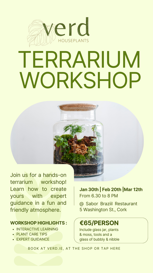 Terrarium Workshop