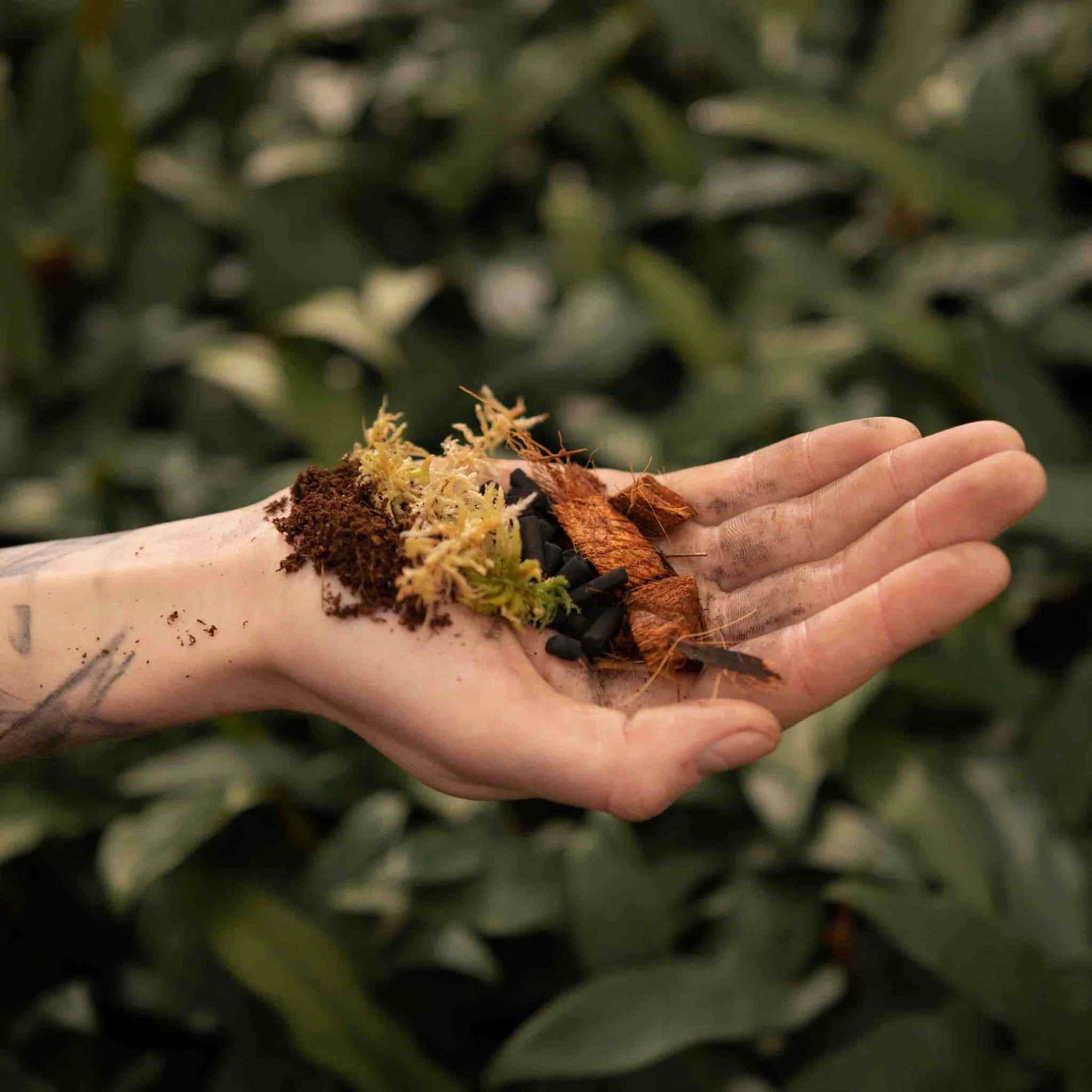 Syba Soil Terrarium Mix