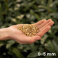 Sybotanica Vermiculite