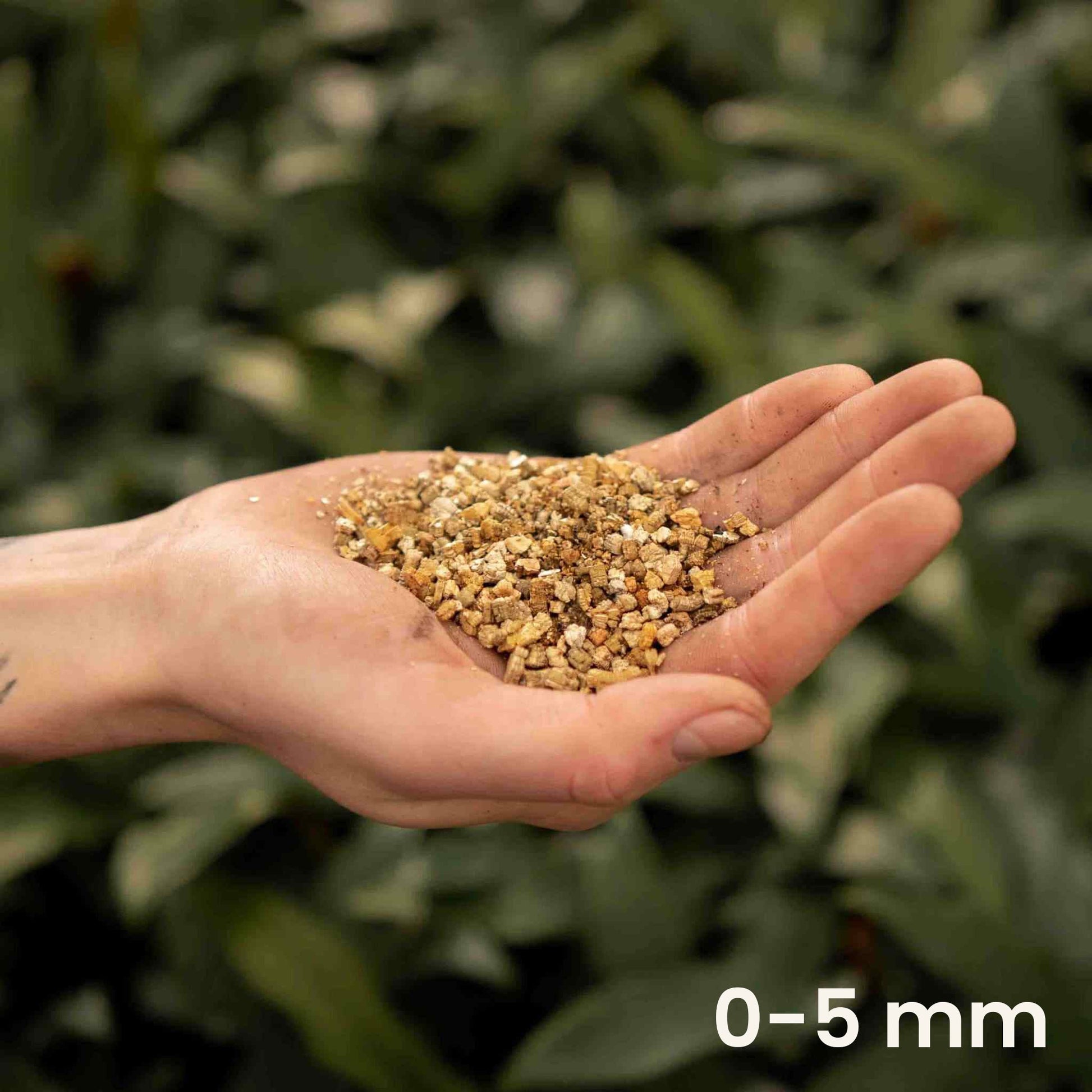 Sybotanica Vermiculite