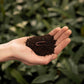 Sybotanica Worm Castings