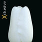 Tulipa White Prince (x7) Bulb