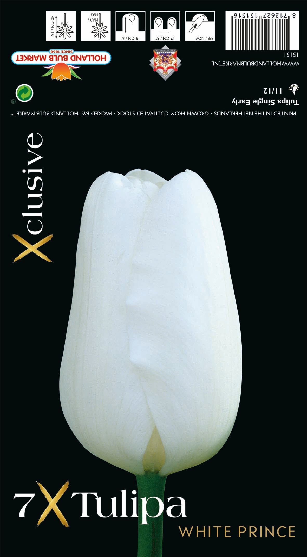 Tulipa White Prince (x7) Bulb