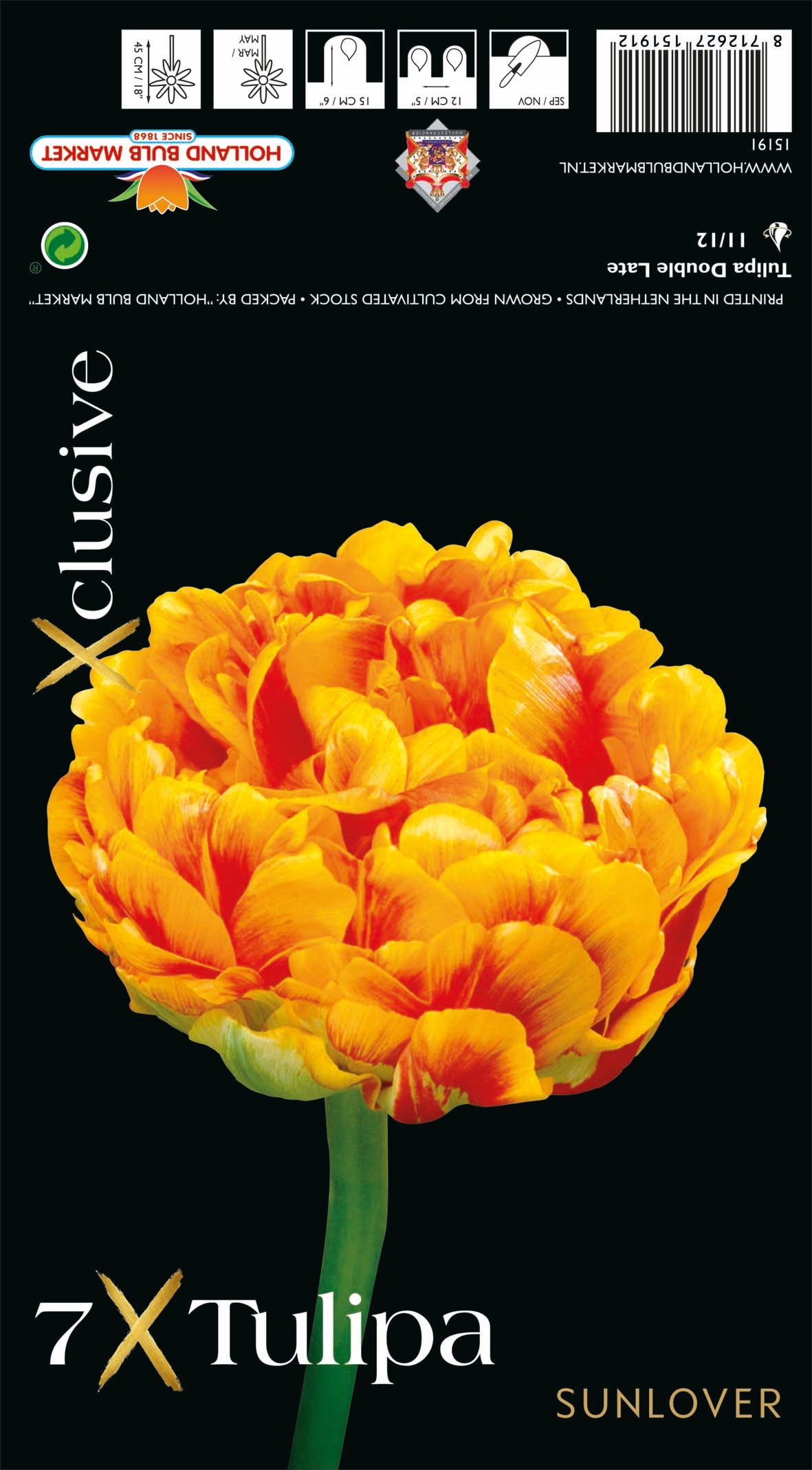Tulipa Sunlover (x7) Bulb