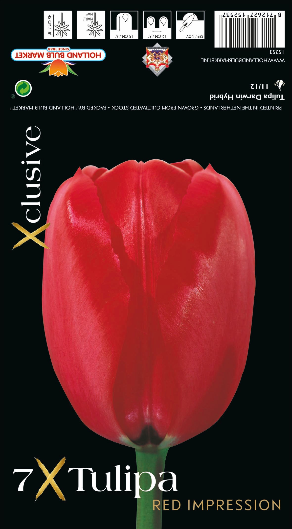Tulipa Red Impression (x7) Bulb