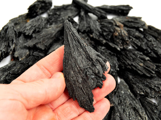 Raw Black Kyanite Witch's Broom (20g - 70g)