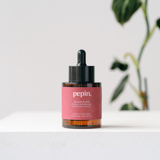 Willow Water - Root Development Pepin