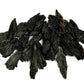 Raw Black Kyanite Witch's Broom (20g - 70g)