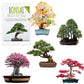 Extraordinary bonsai seeds with a high germination rate
