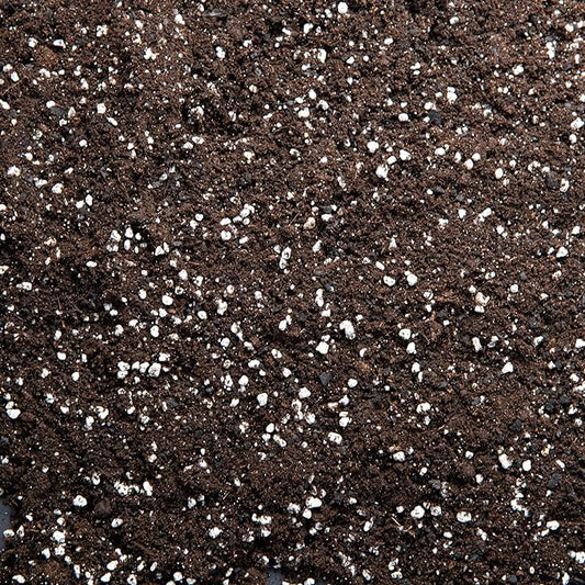 Regular Potting Soil