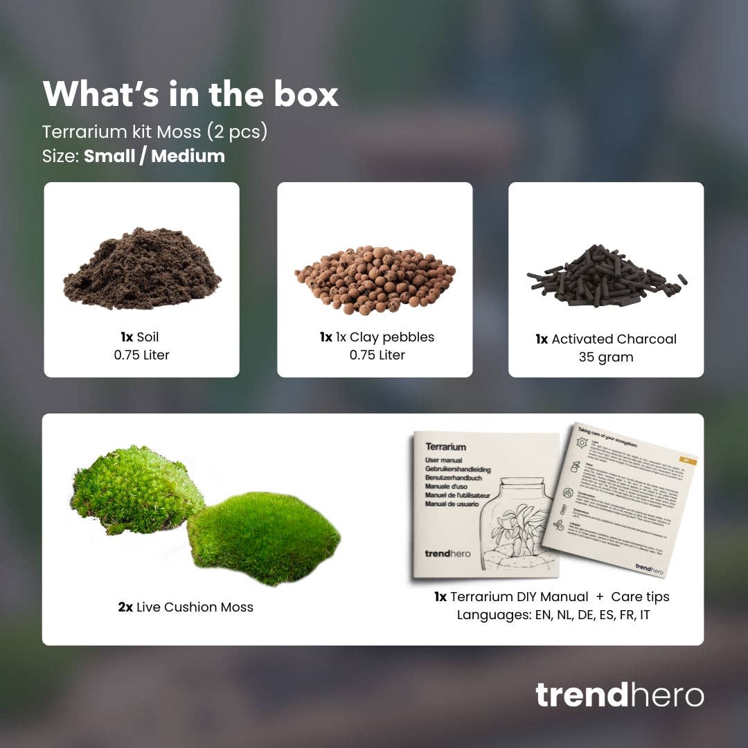 Terrarium Package  – Refill & Starter Package  – DIY Terrarium Kit – Size S/M