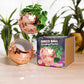 Disco Ball Hanging Planter - Rose Gold (6in)