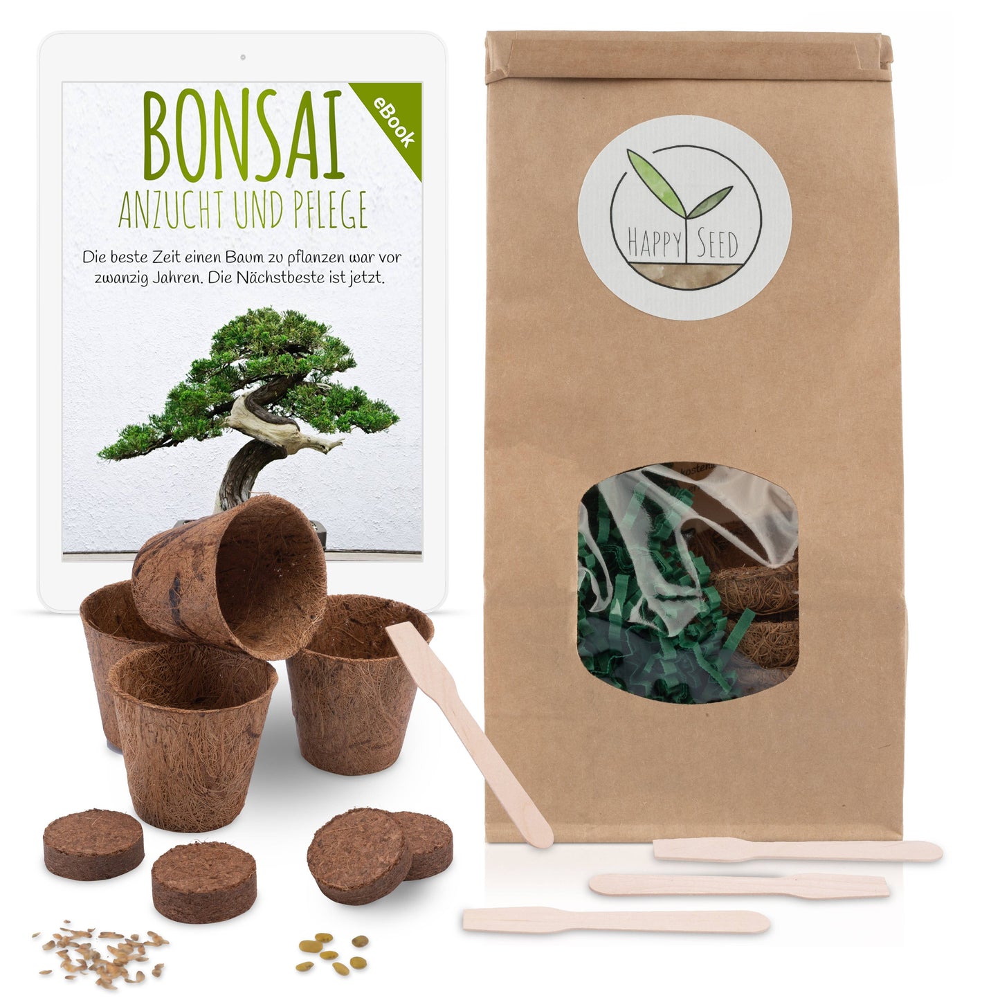 Bonsai starter kit growing kit - AFRICAN WISTERIA AND AUSTRALIAN PINE SEEDS