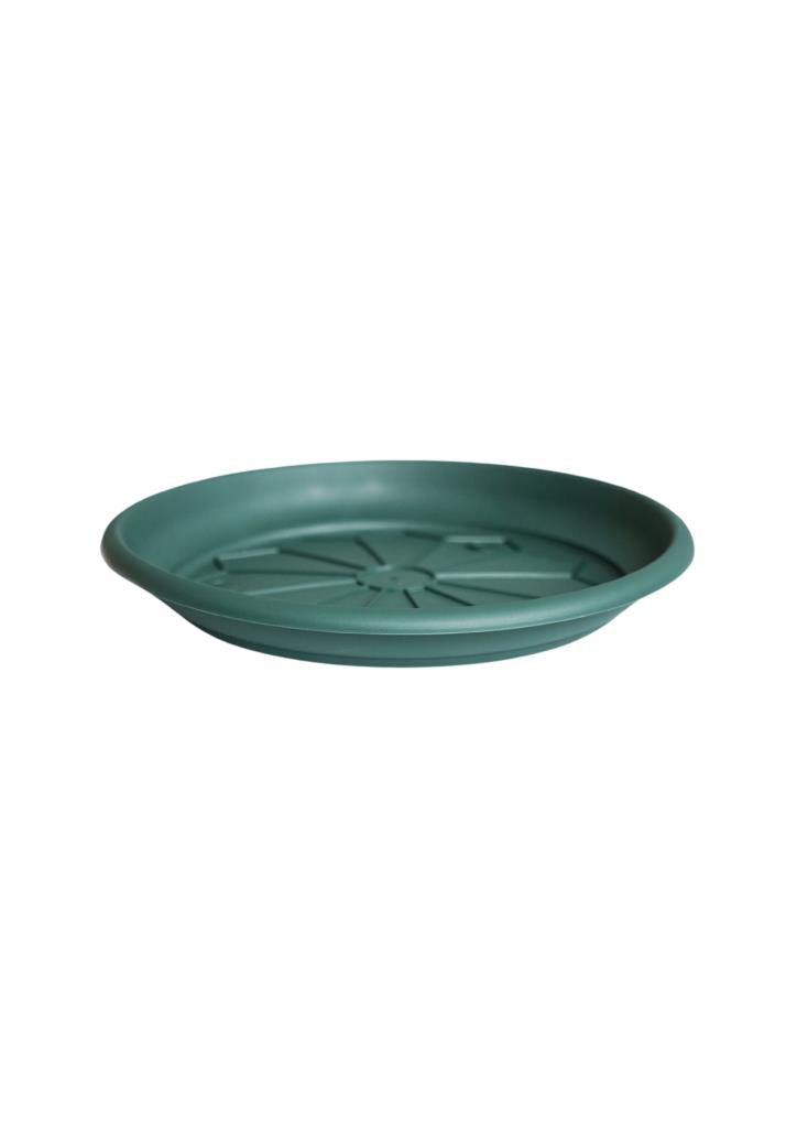 Naxo Saucer