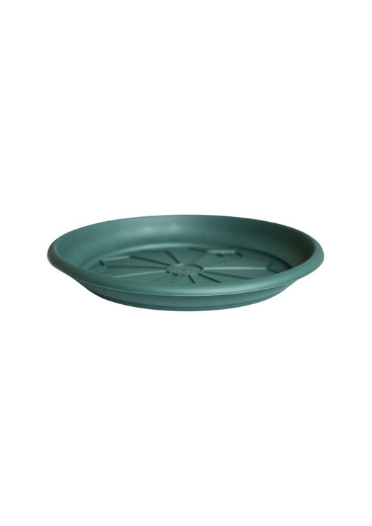 Naxo Saucer