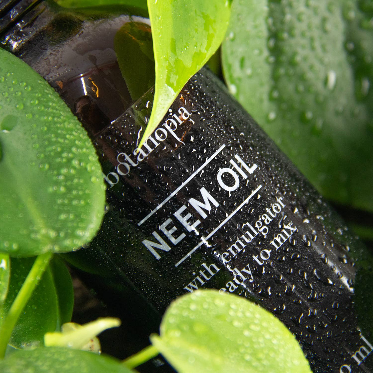 Verd Mix Neem Oil, ready to mix, 100ml – Verd Houseplants