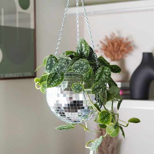 Disco Ball Hanging Planter (8in)