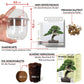 Grow2Go Bonsai Starter Kit Growing Set (Gift Idea)