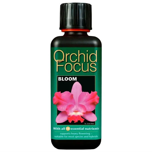 Orchid Focus Bloom