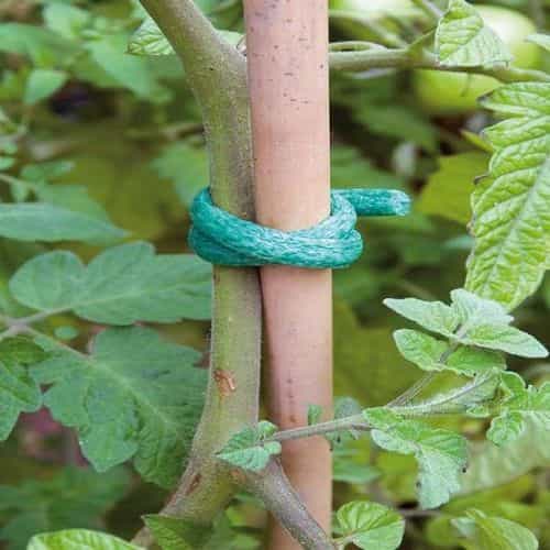 FOAM PLANT TIES GREEN 8mm x 20cm