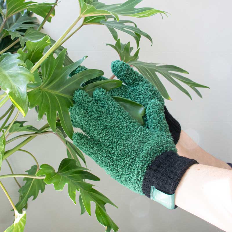 Leaf Love Gloves - Microfiber dusting gloves for plants