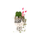 Hoya Hearts Arrangement + Pot Doll