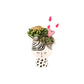 Kalanche Orchid Arrangement + Pot Doll