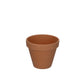 Terracotta Pots