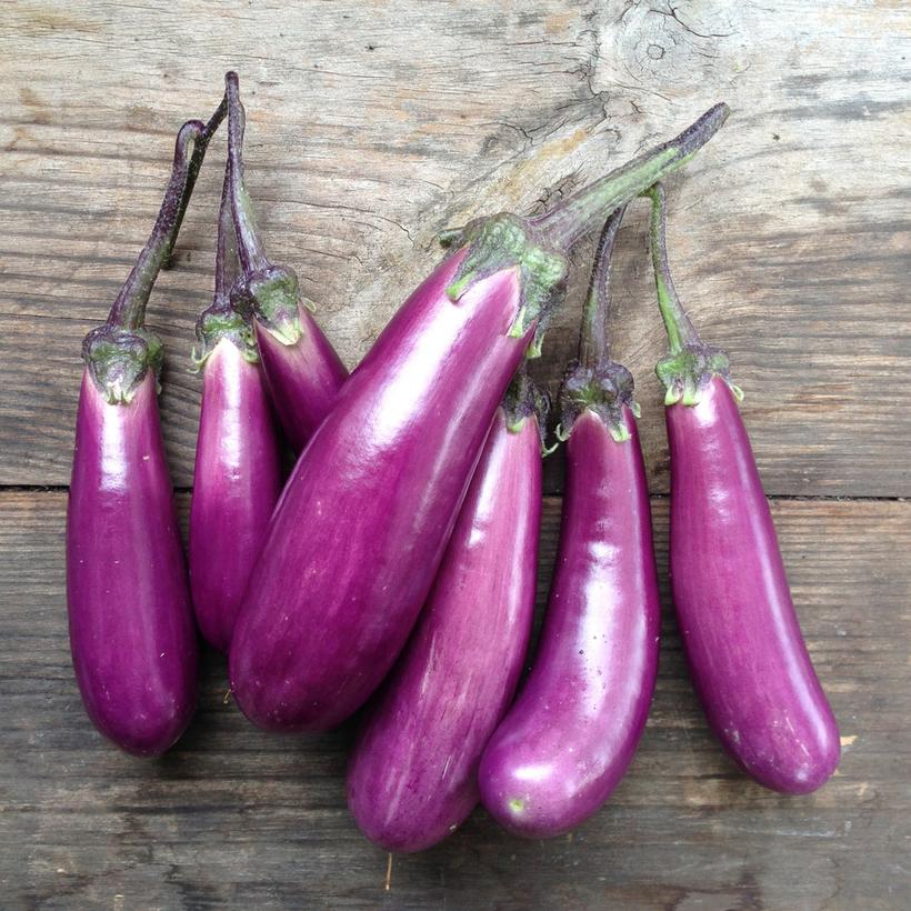 Aubergine - Eggplant Slim Jim