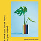 The Plant Rescuer