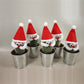 Cactus Santa in Zinc Pot 7.5cm