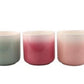 Ceramic Pot Paris Mix