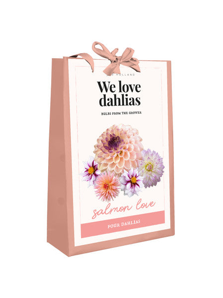 Dahlia Bulbs - Flower Bag Salmon