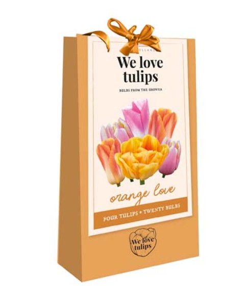 Tulip Bulbs - Flower Bag Orange Love