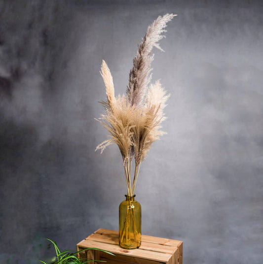 Pampas Grass Arrangement in Glass Vase