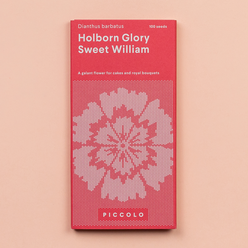 Sweet William Holborn Glory