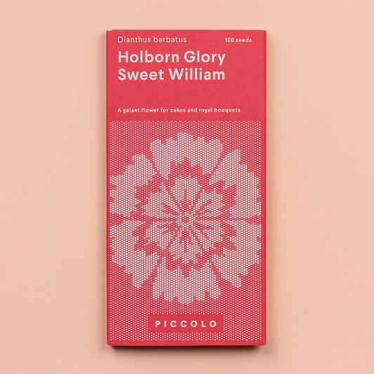 Sweet William Holborn Glory