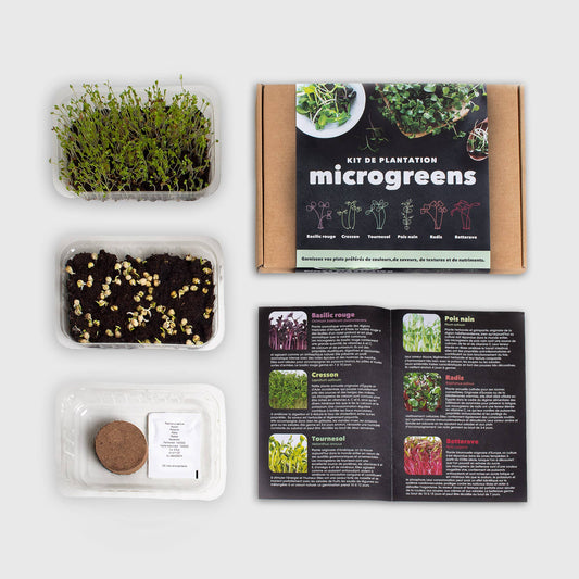 Microgreens self-cultivation kit