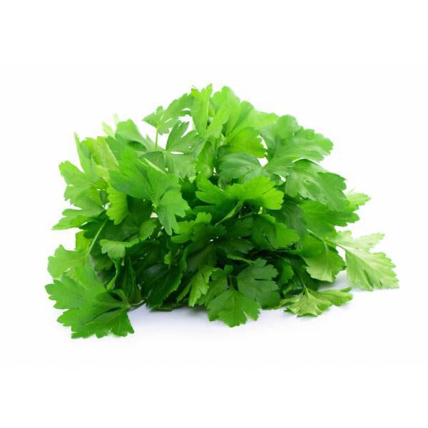 Parsley Gigante D'Italia